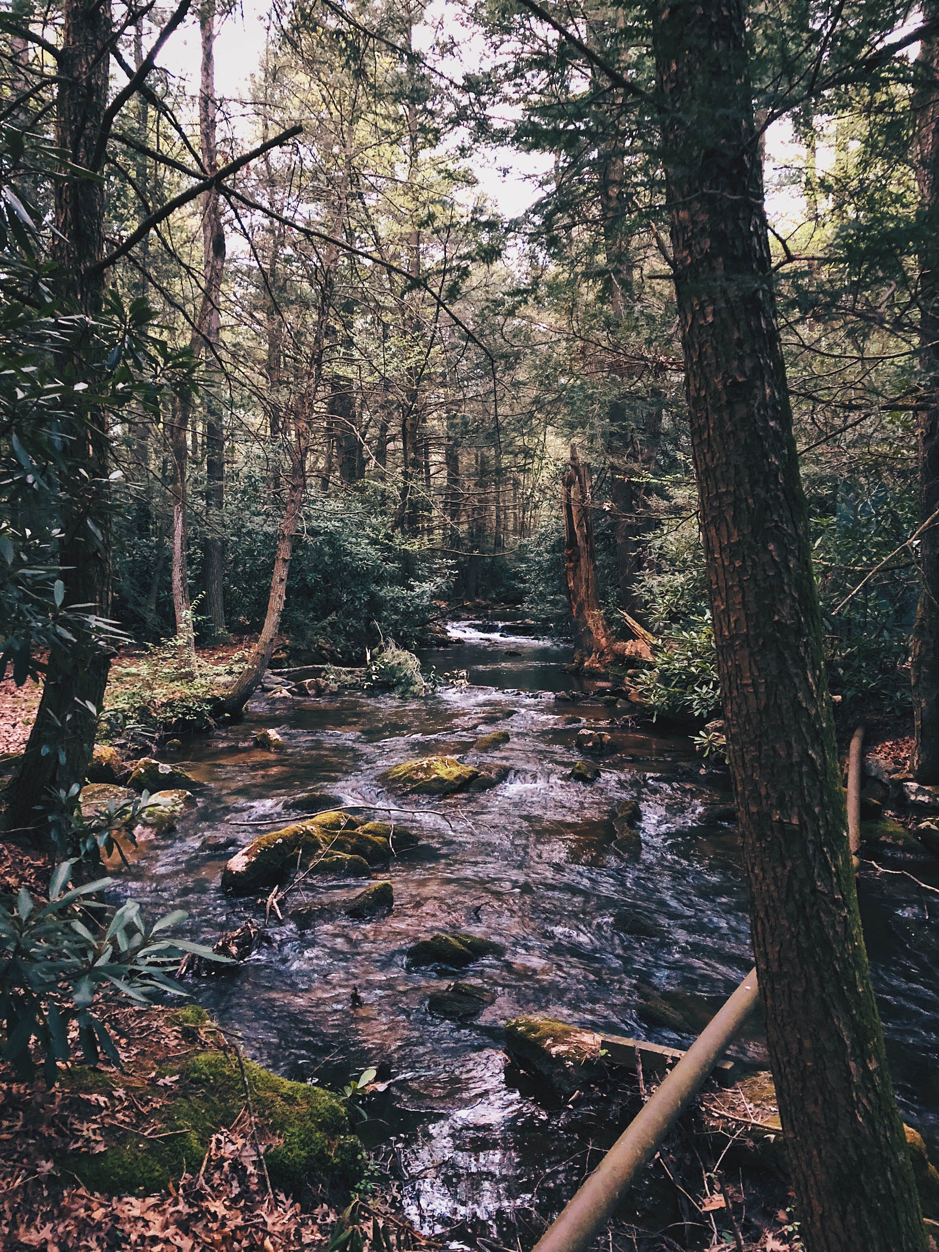 Camper submitted image from Jim Thorpe Camping Resort - 4