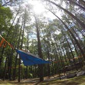 Review photo of Red Top Mountain State Park Campground by Amar P., August 13, 2017