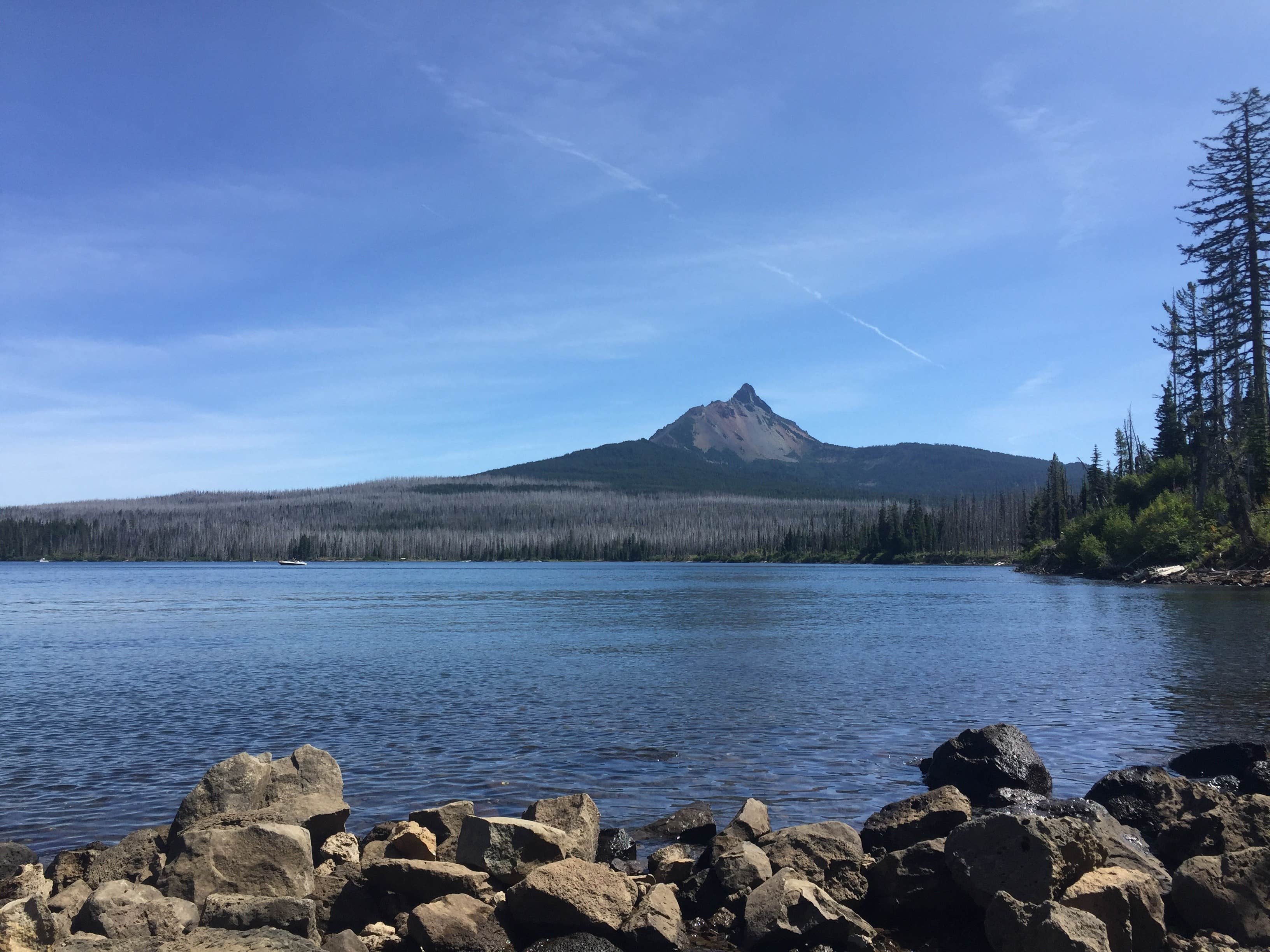 View All
