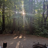 Review photo of Mount Ascutney State Park Campground by Rita M., October 1, 2019