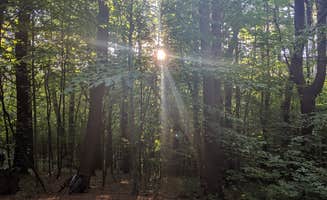 Rita M.'s photo at Mount Ascutney State Park Campground near Springfield, VT