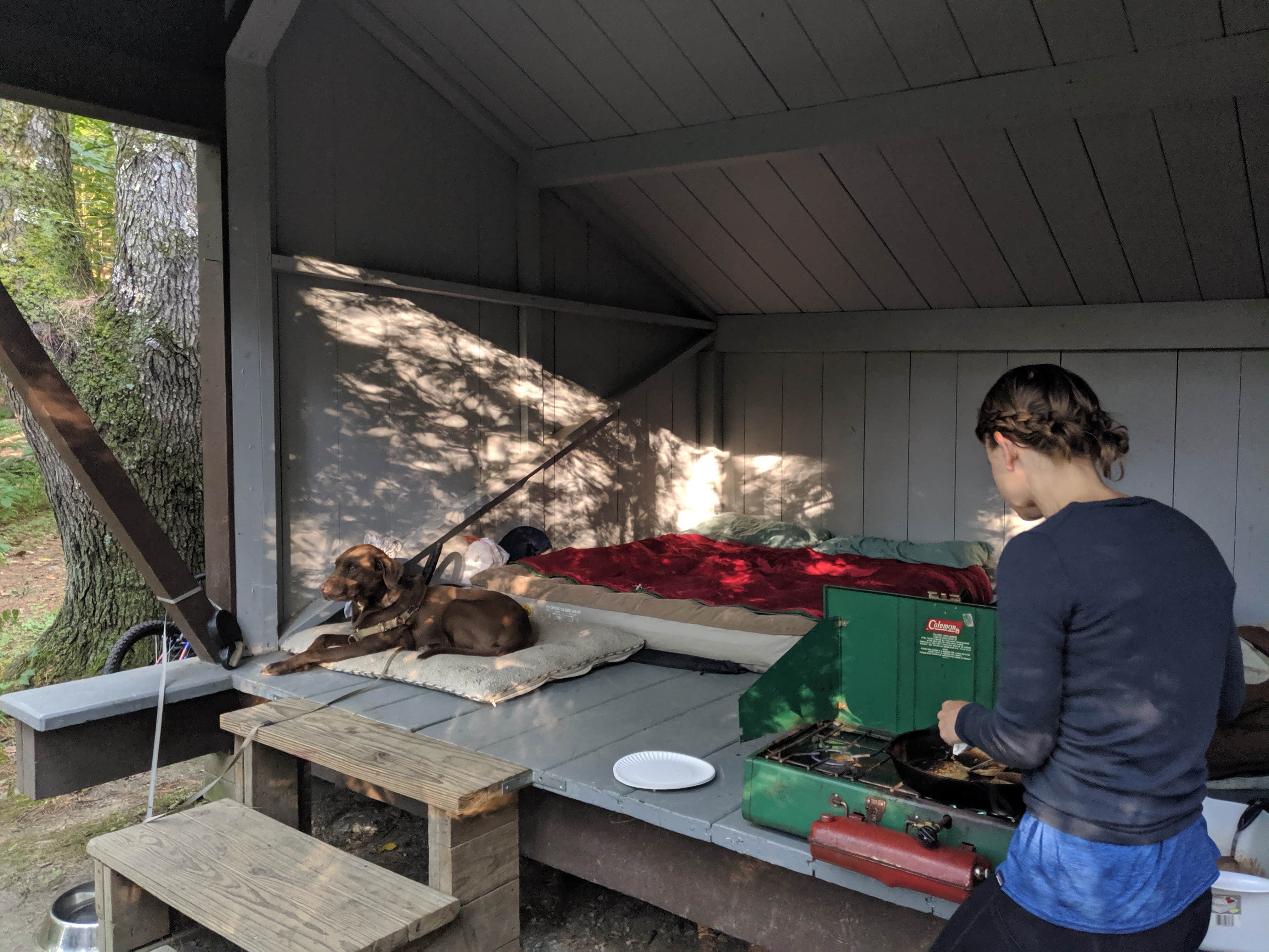 Camper submitted image from Mount Ascutney State Park Campground - 1