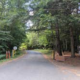 Review photo of Mount Ascutney State Park Campground by Rita M., October 1, 2019