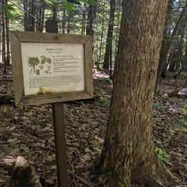 Sign on the nature trail