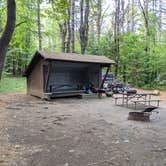 Review photo of Mount Ascutney State Park Campground by Rita M., October 1, 2019