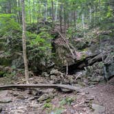 Review photo of Mount Ascutney State Park Campground by Rita M., October 1, 2019