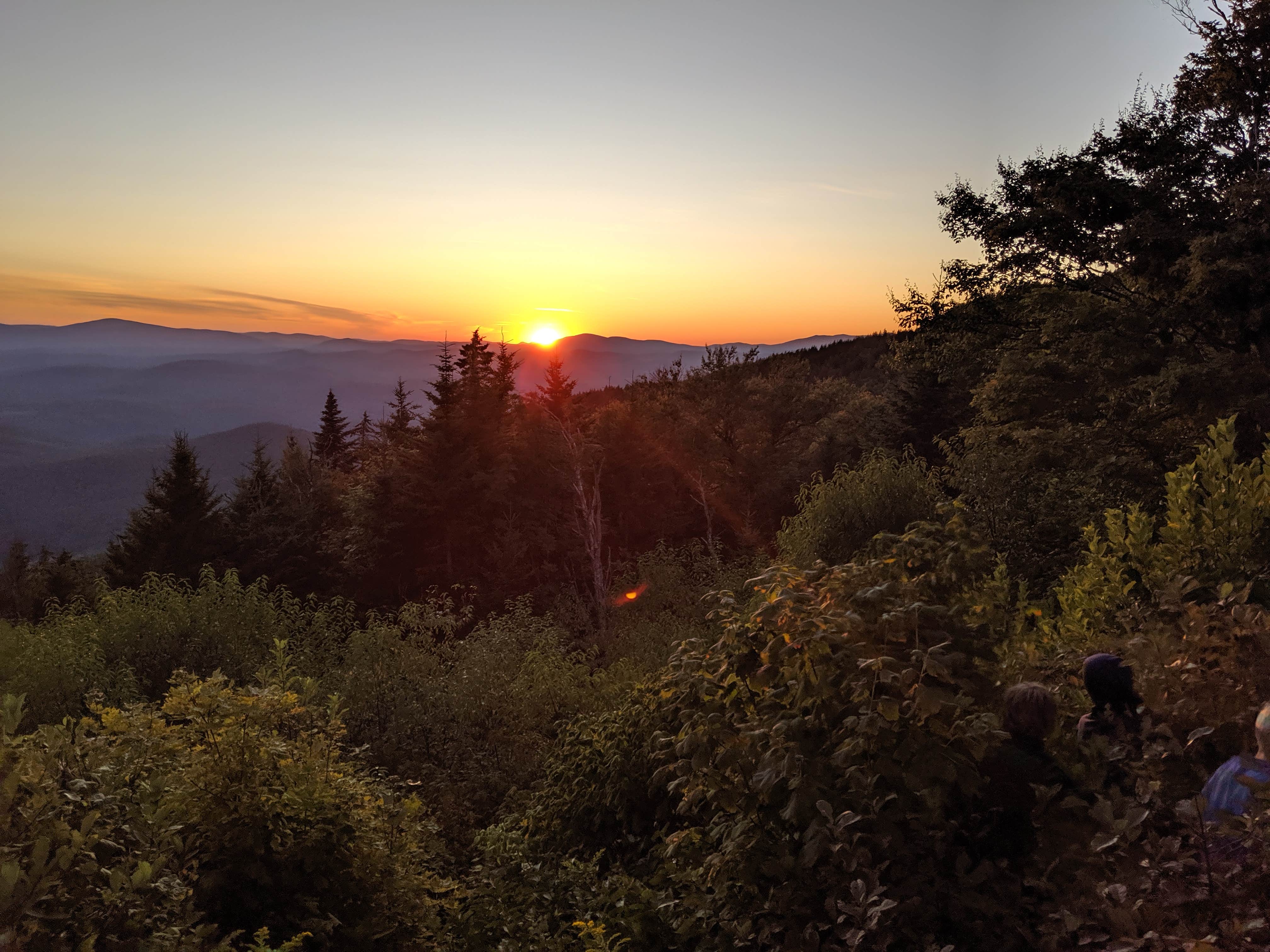 View All