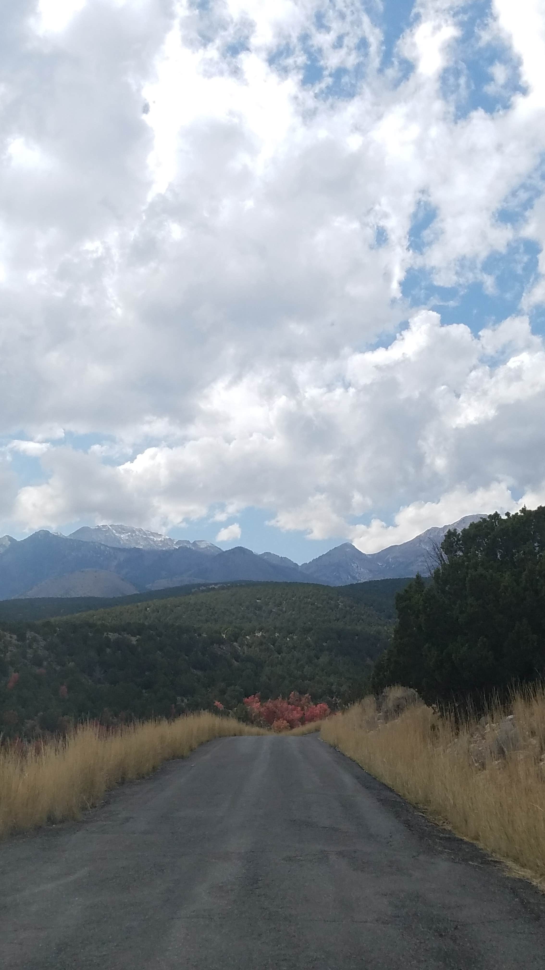 Camper submitted image from Cottonwood Campground Slrd — Uinta Wasatch Cache National Forest - 3