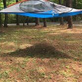 Review photo of Red Top Mountain State Park Campground by Amar P., August 13, 2017