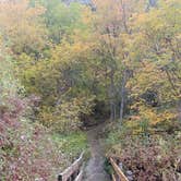 Review photo of Cottonwood Campground Slrd — Uinta Wasatch Cache National Forest by Alan B., October 1, 2019