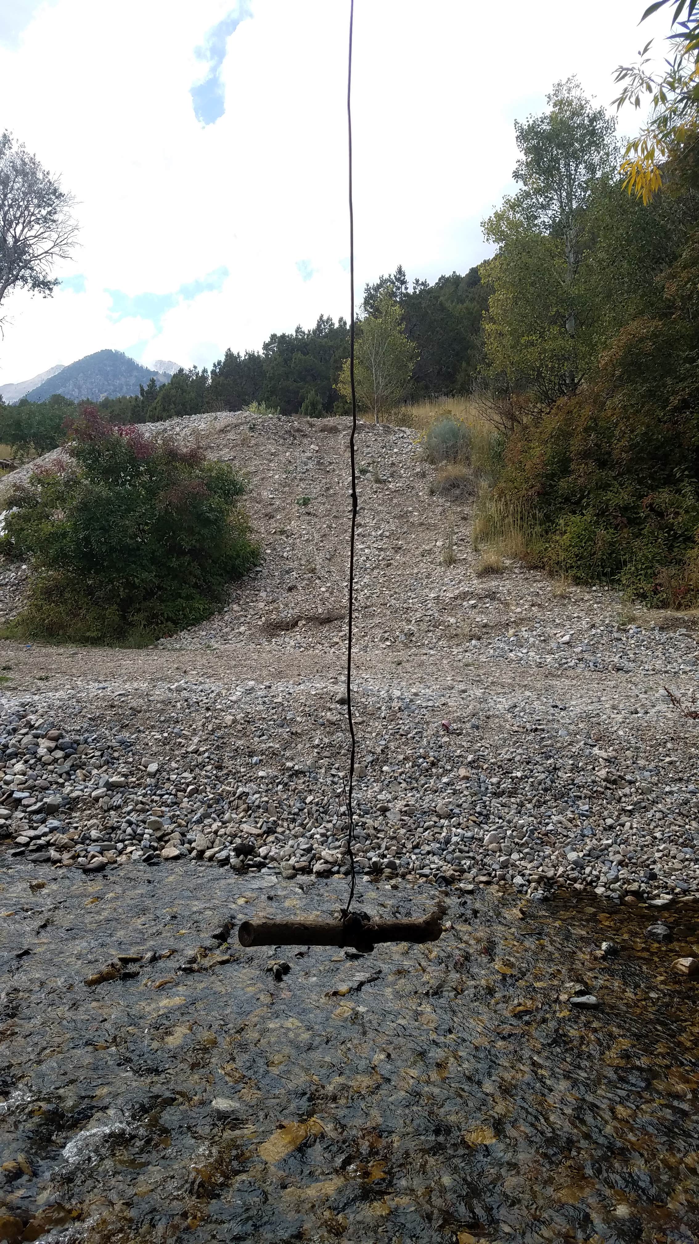 Camper submitted image from Cottonwood Campground Slrd — Uinta Wasatch Cache National Forest - 2