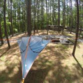 Review photo of Red Top Mountain State Park Campground by Amar P., August 13, 2017