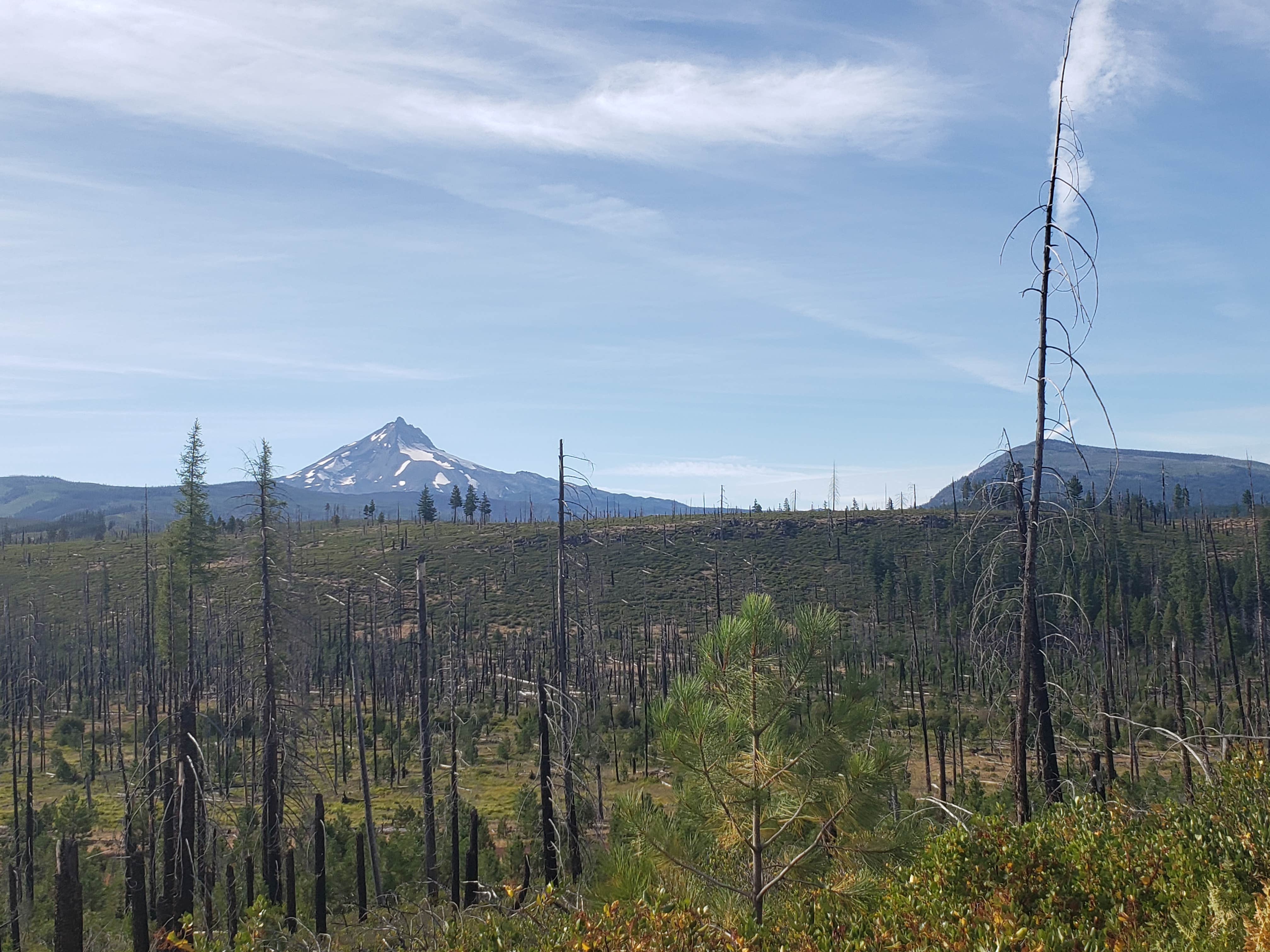 Candle Creek Campground The Dyrt
