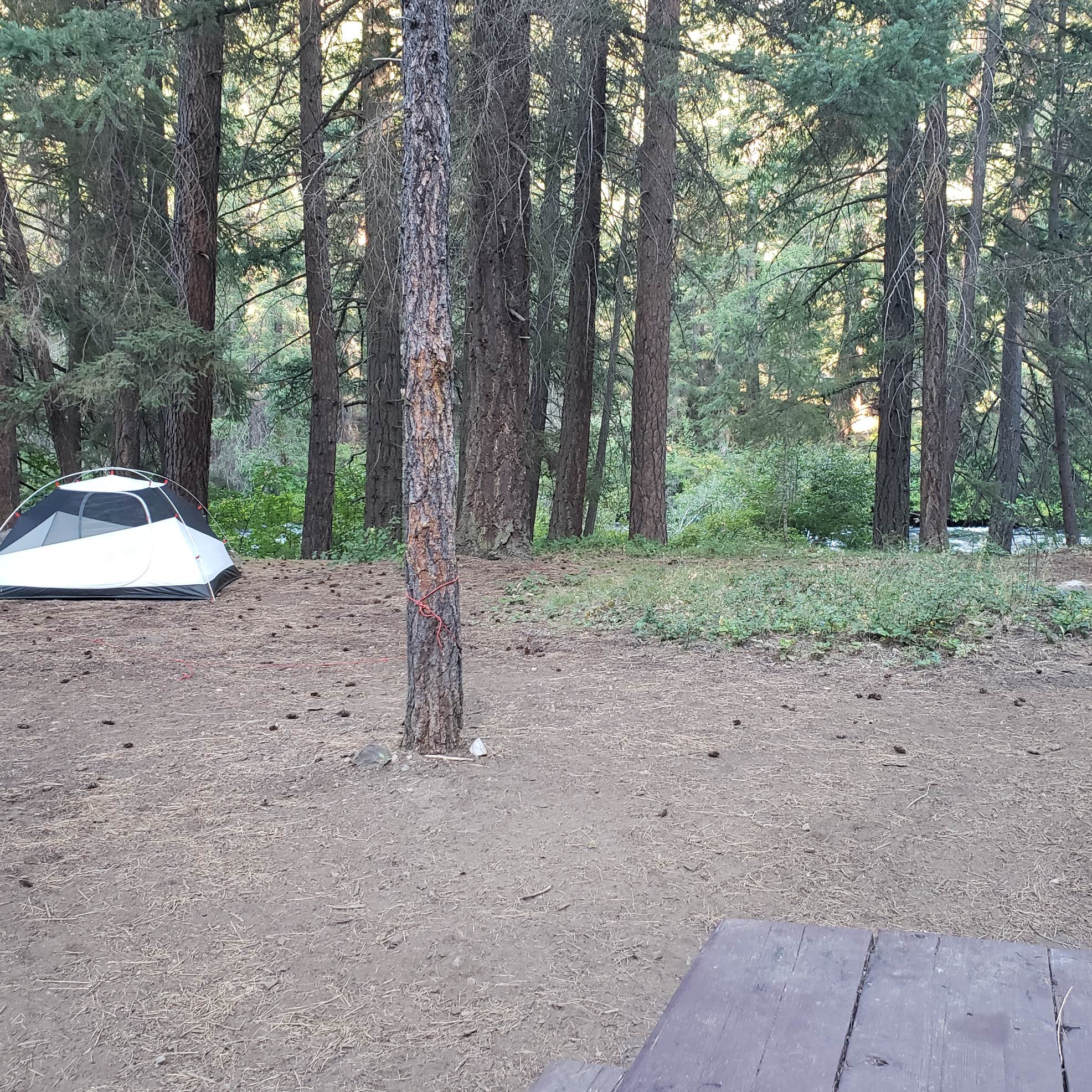 Candle Creek Campground Camping The Dyrt