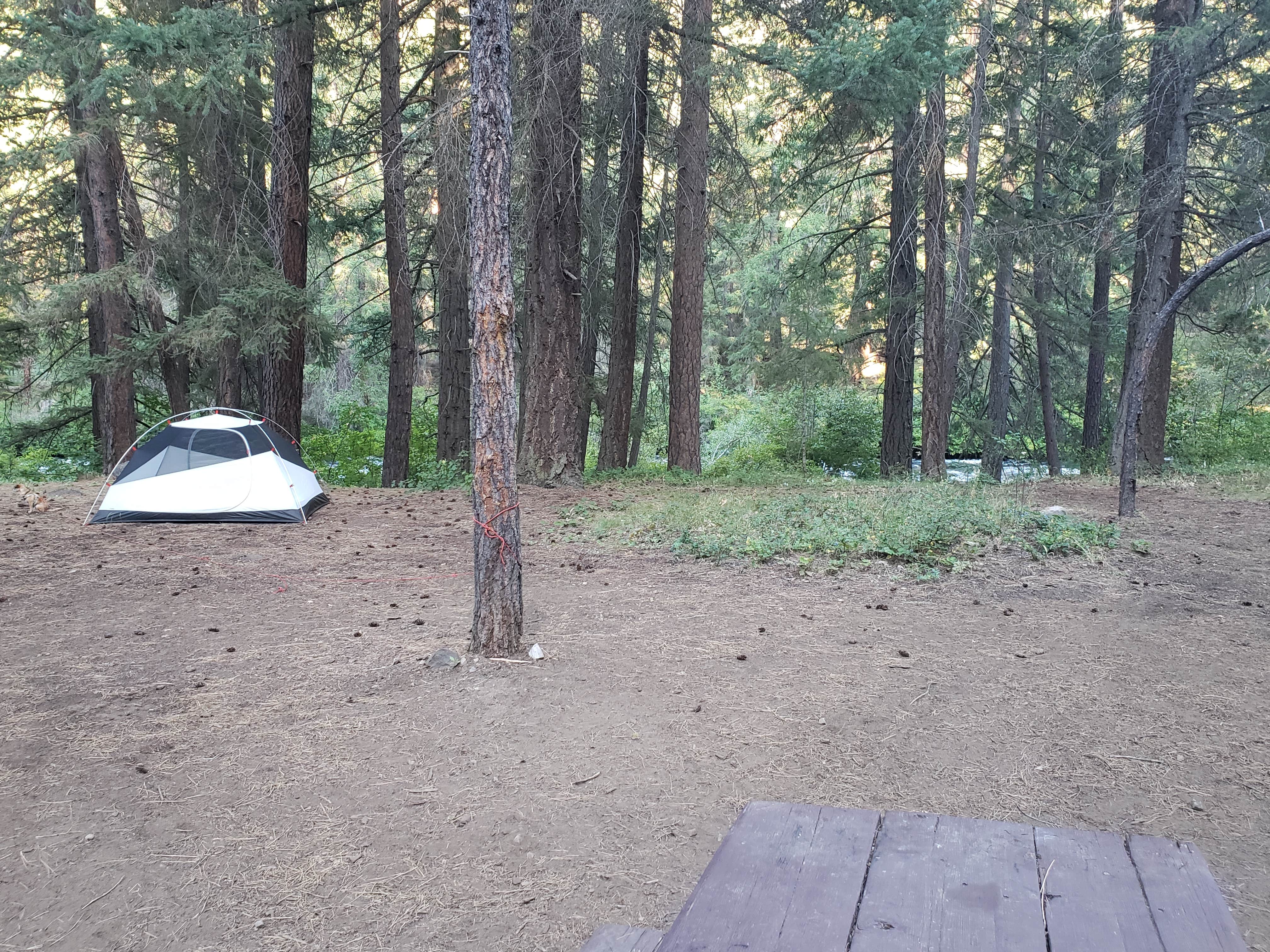 Camper submitted image from Candle Creek Campground - 3