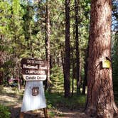 Review photo of Candle Creek Campground by Ashley B., October 1, 2019