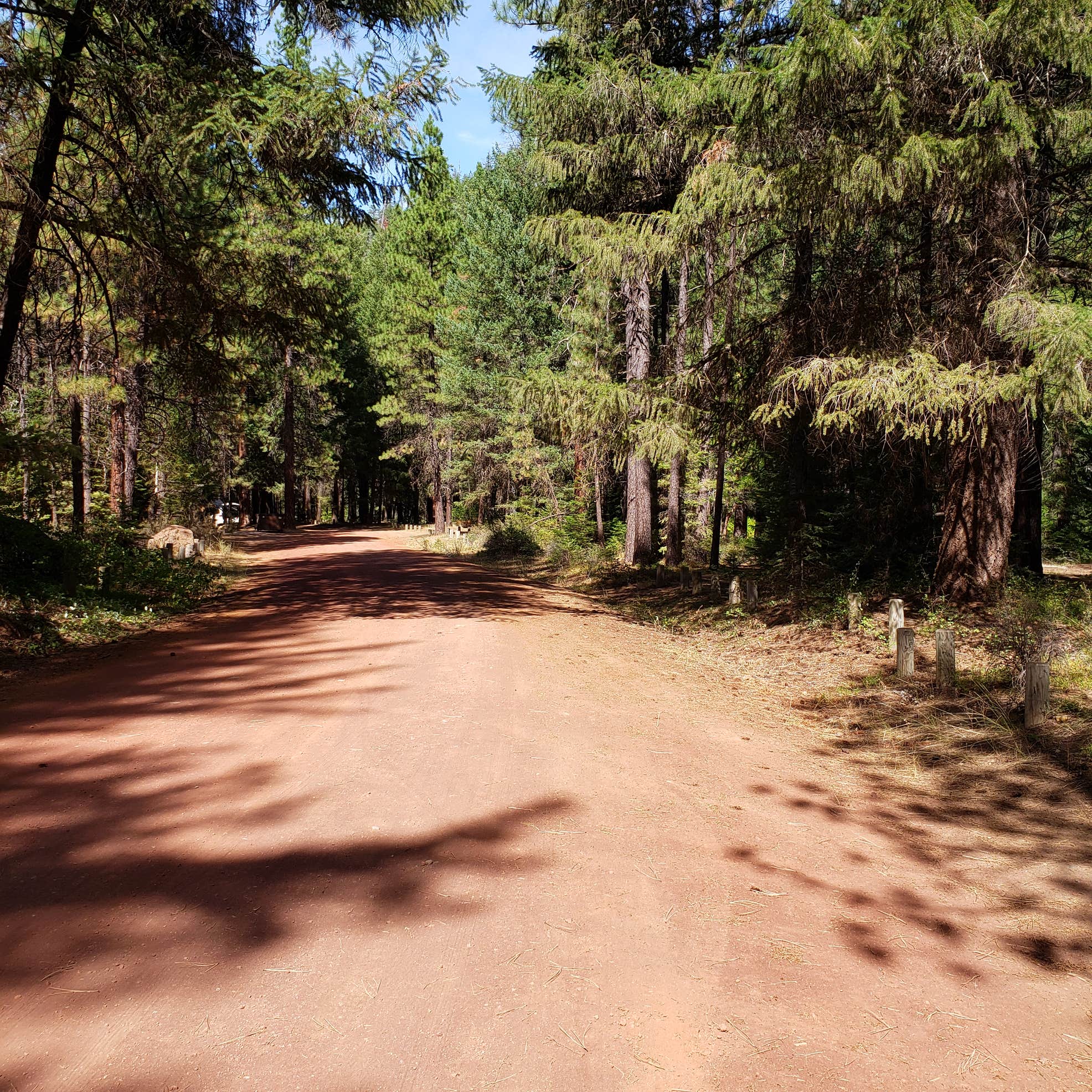 Candle Creek Campground Camping The Dyrt