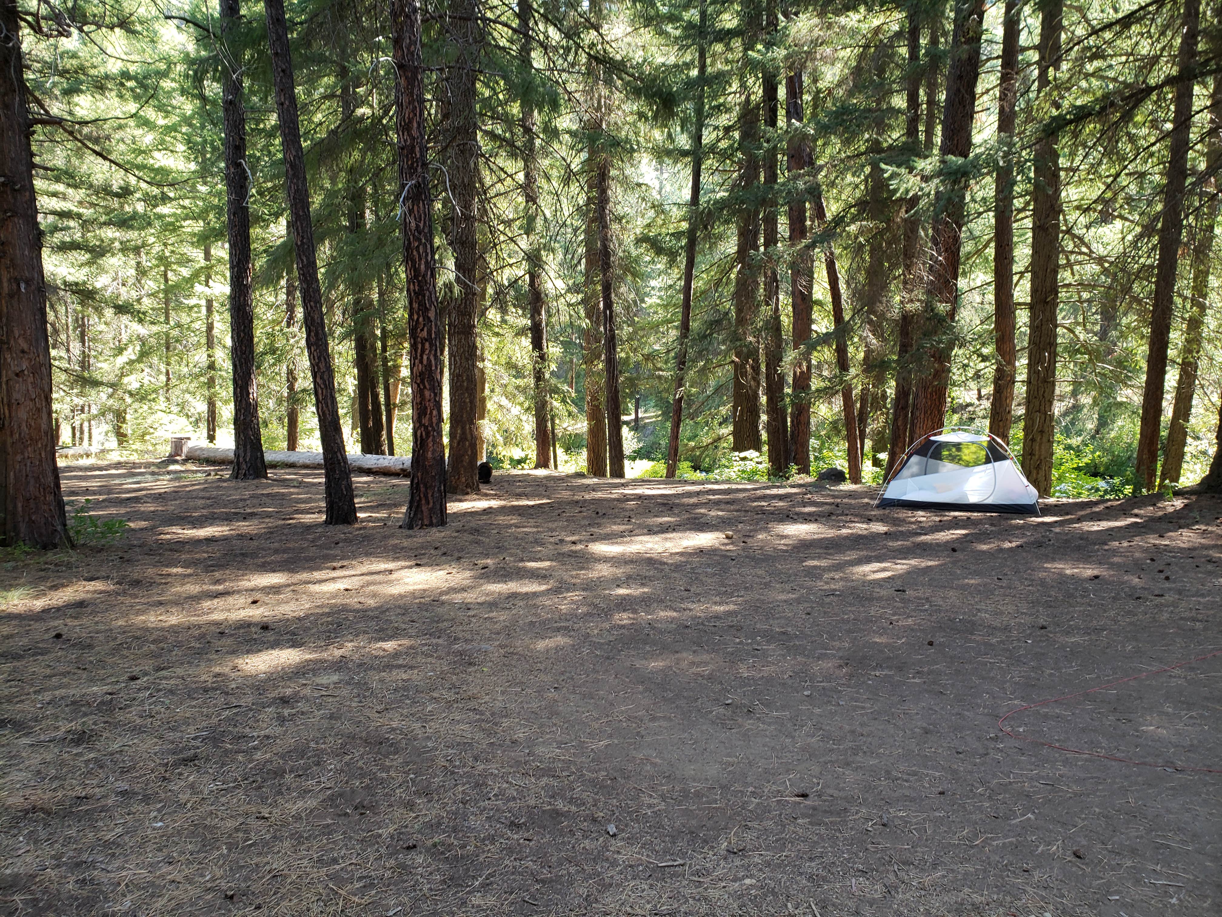 Ashley B.'s photo at Candle Creek Campground near Alder Springs, OR