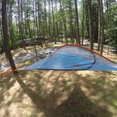 Review photo of Red Top Mountain State Park Campground by Amar P., August 13, 2017