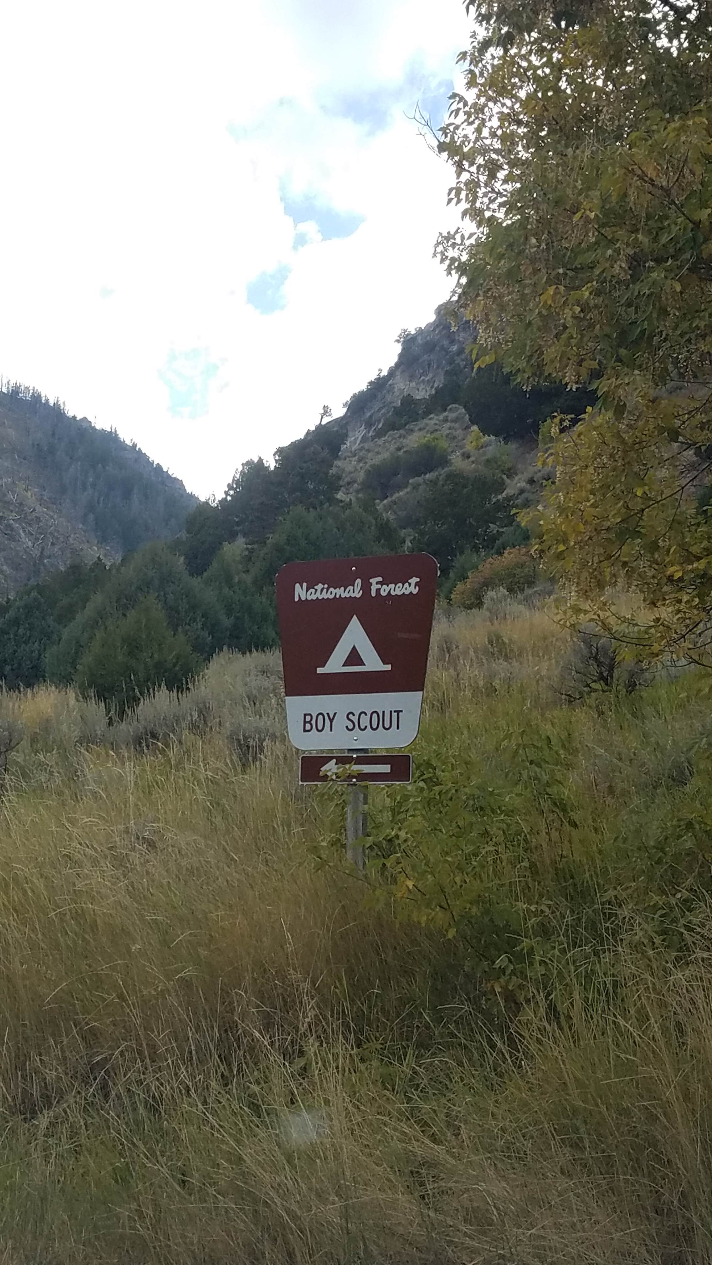 Camper-submitted photo at Wasatch National Forest Boy Scout Campground near Dugway, UT