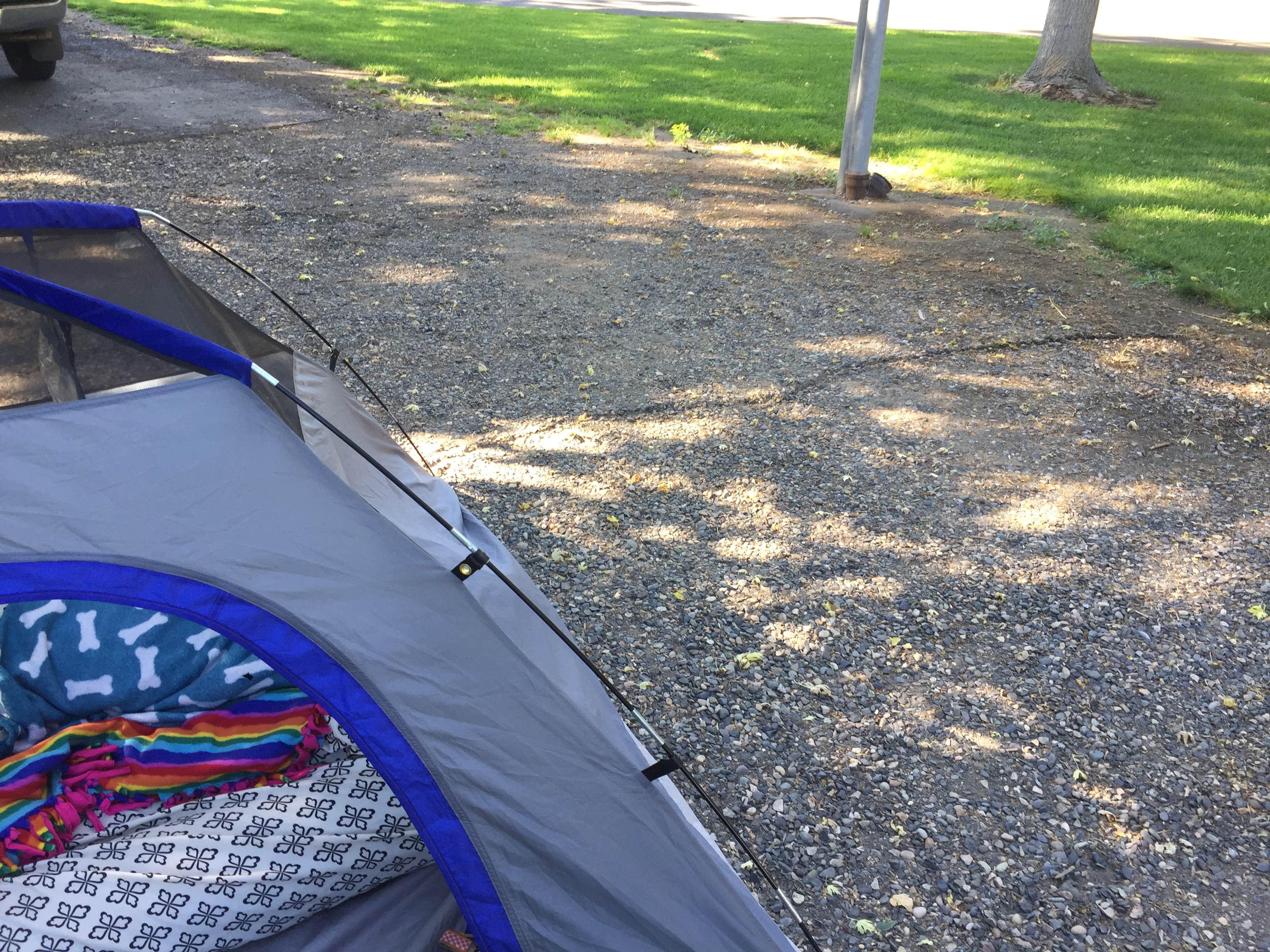 Alicia F.'s photo at Boardman Marina Park near Boardman, OR