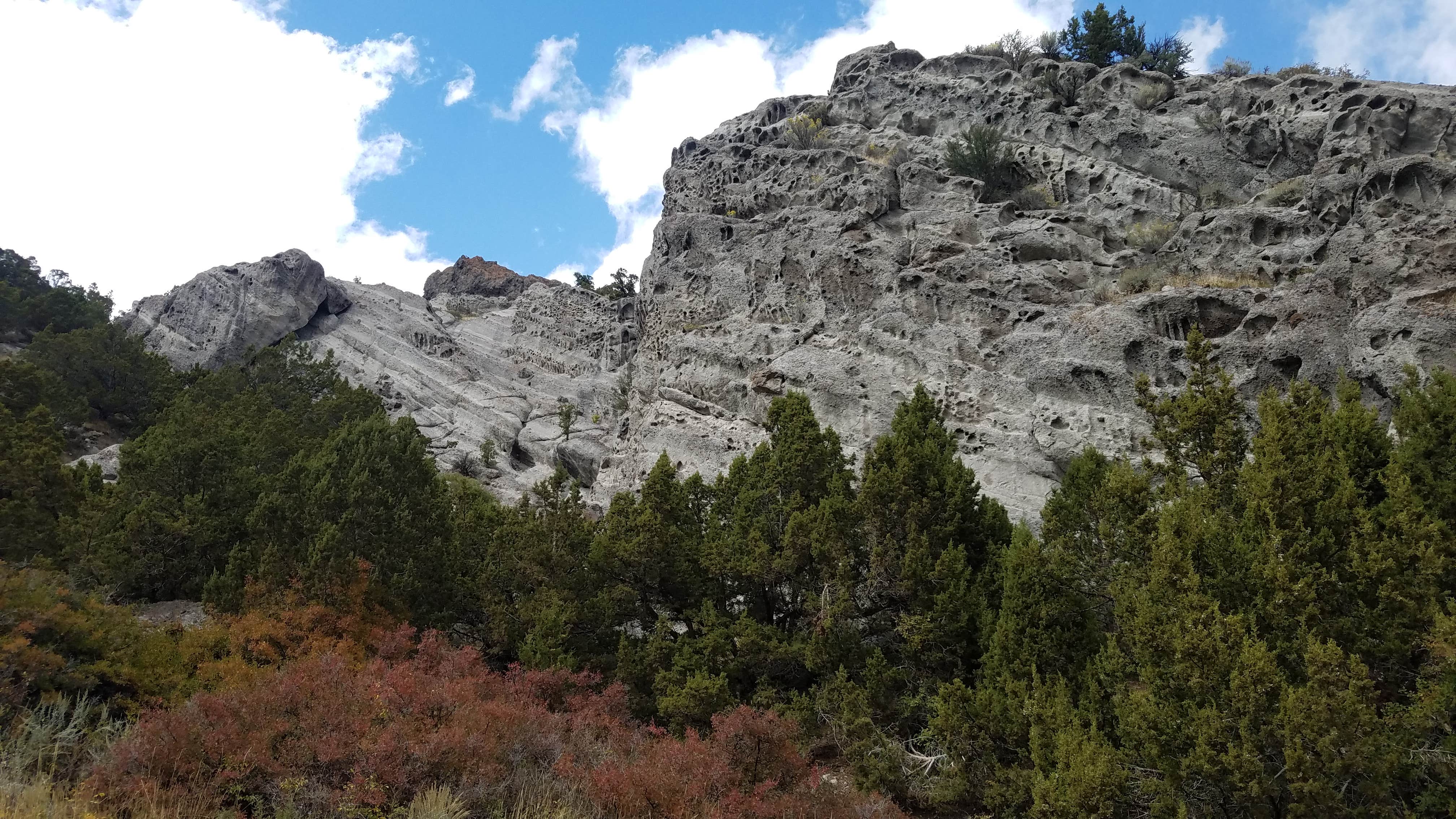 Camper submitted image from Intake Campground — Uinta Wasatch Cache National Forest - 2