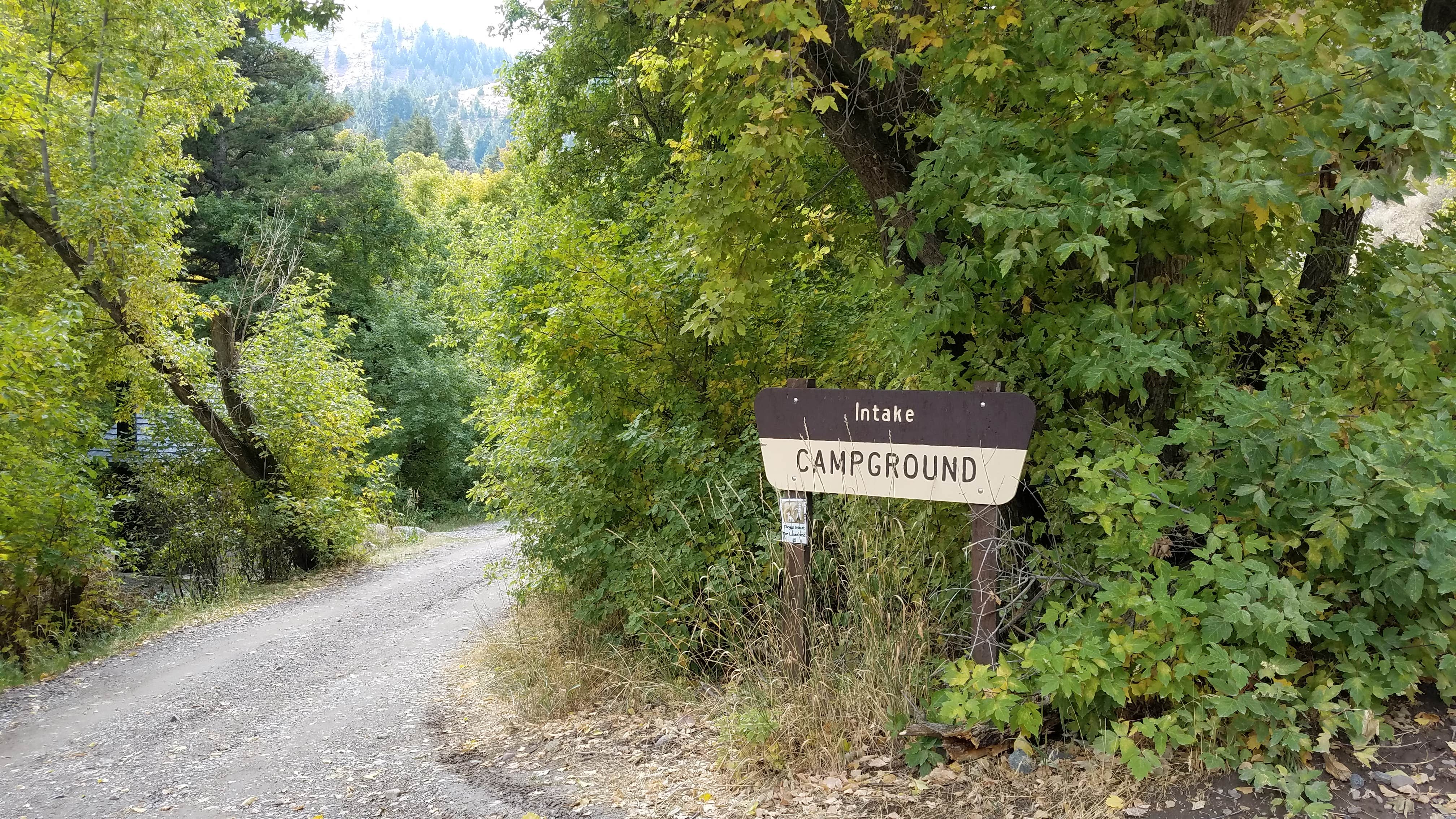 Camper submitted image from Intake Campground — Uinta Wasatch Cache National Forest - 3