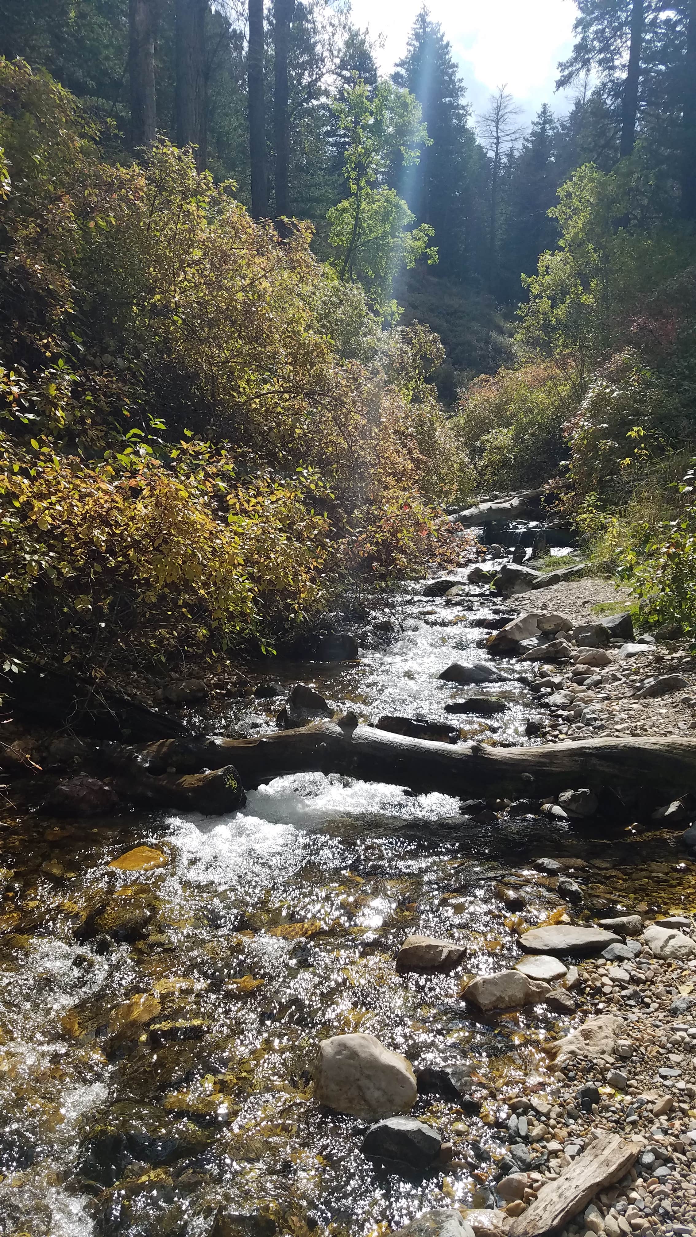 Camper submitted image from Intake Campground — Uinta Wasatch Cache National Forest - 5