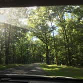 Review photo of Montgomery Bell State Park Campground by Alicia F., October 1, 2019