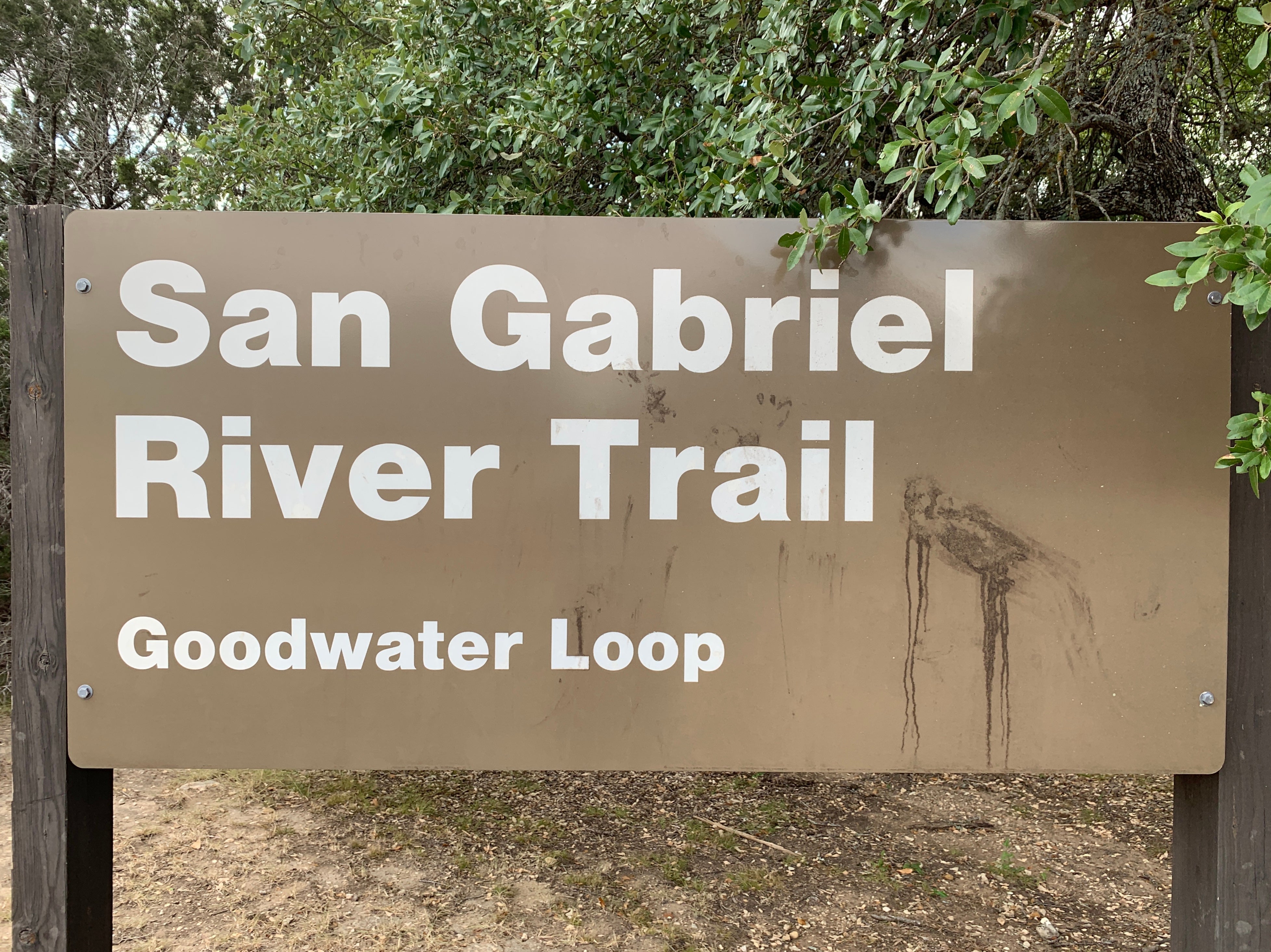 Camper submitted image from San Gabriel River Trail - 4