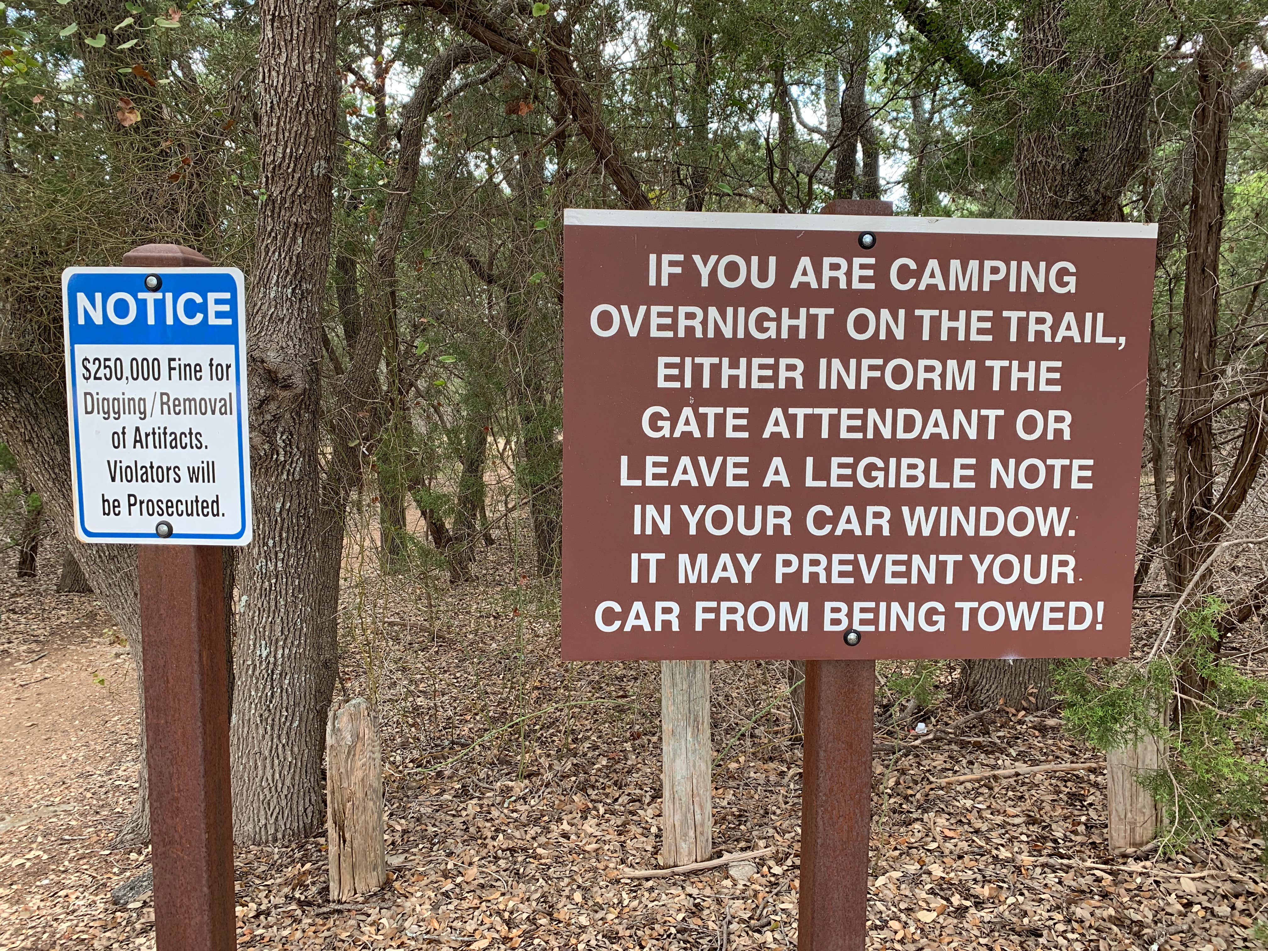 Camper submitted image from San Gabriel River Trail - 3