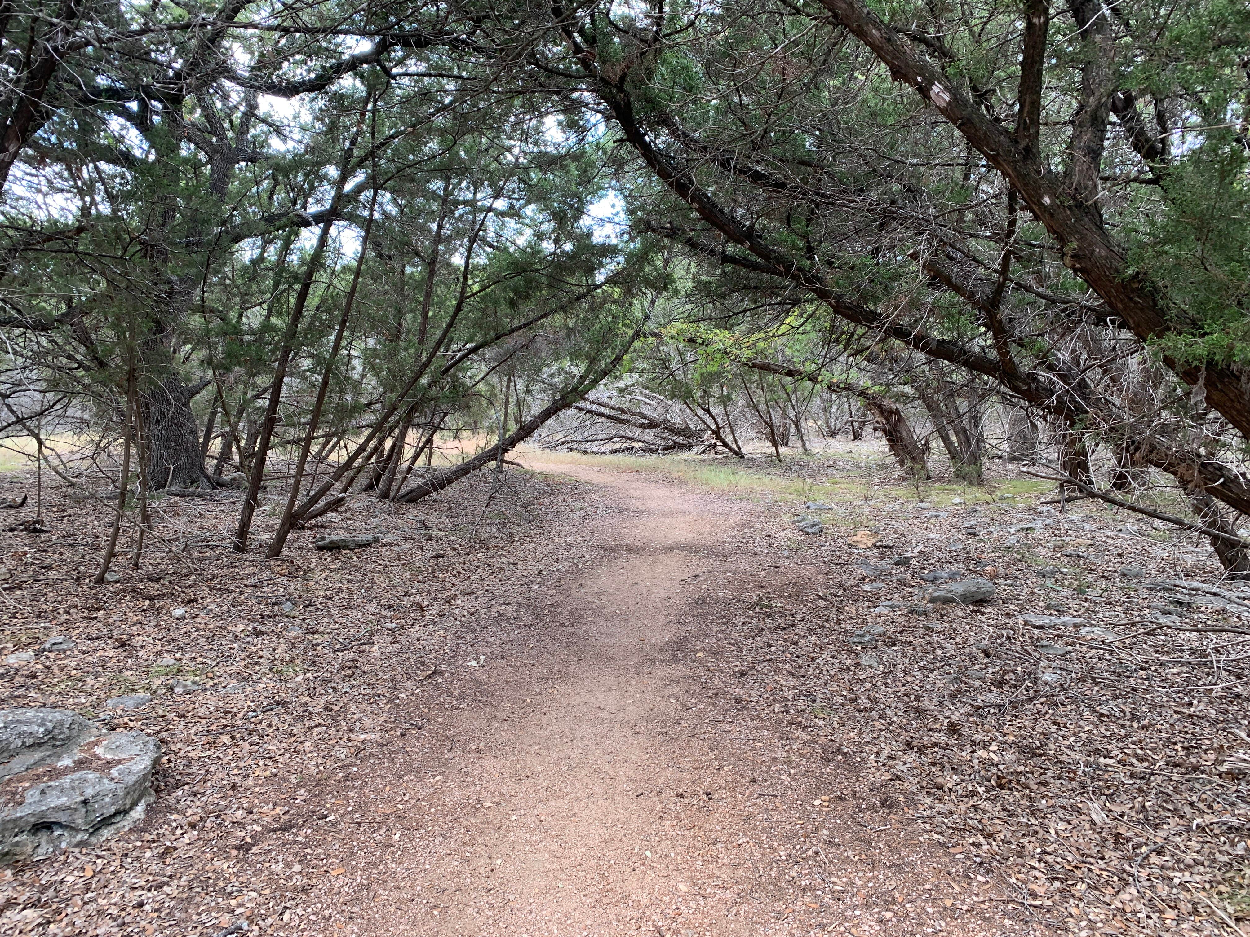 Camper-submitted photo at San Gabriel River Trail near Georgetown, TX