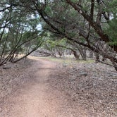 Review photo of San Gabriel River Trail by Troy W., October 1, 2019