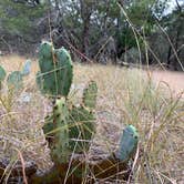 Review photo of San Gabriel River Trail by Troy W., October 1, 2019