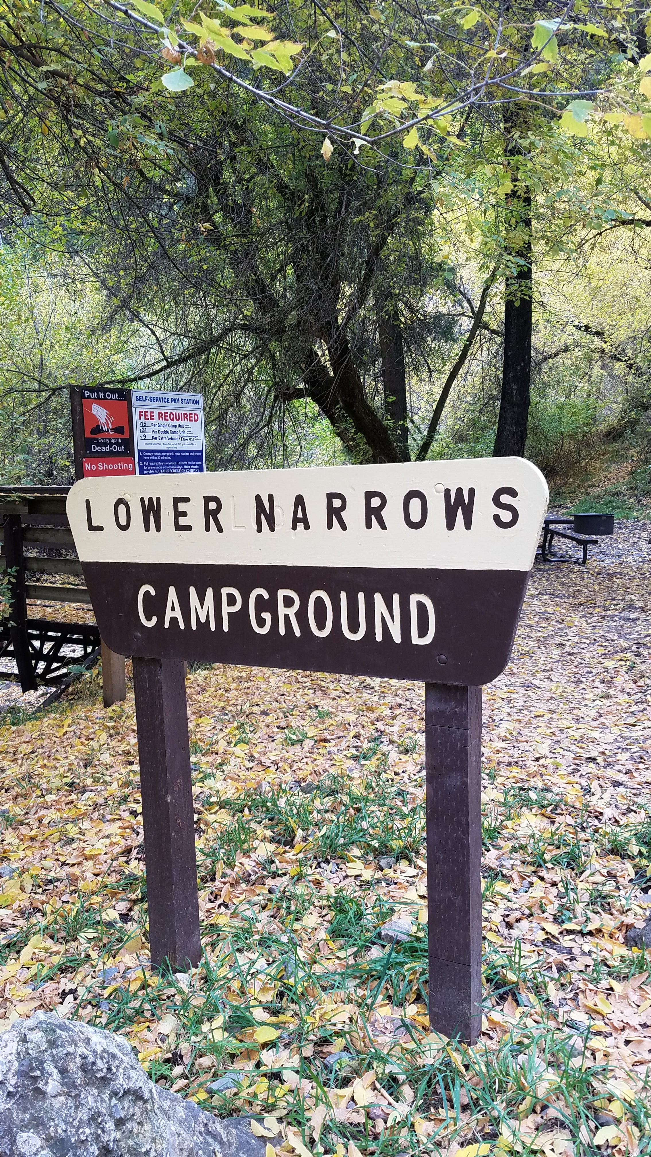 Camper submitted image from Lower Narrows Campground - 3