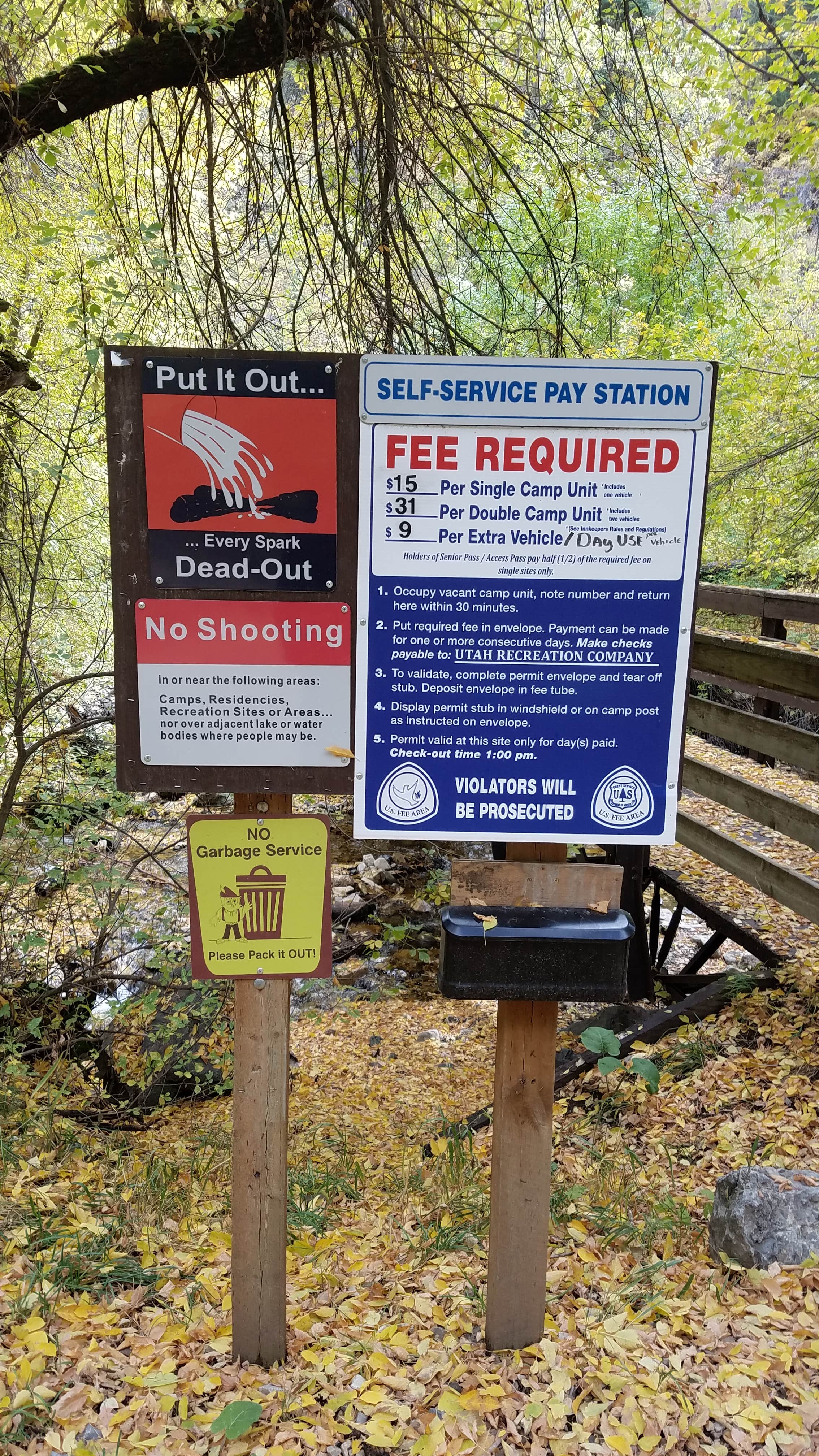Camper submitted image from Lower Narrows Campground - 4