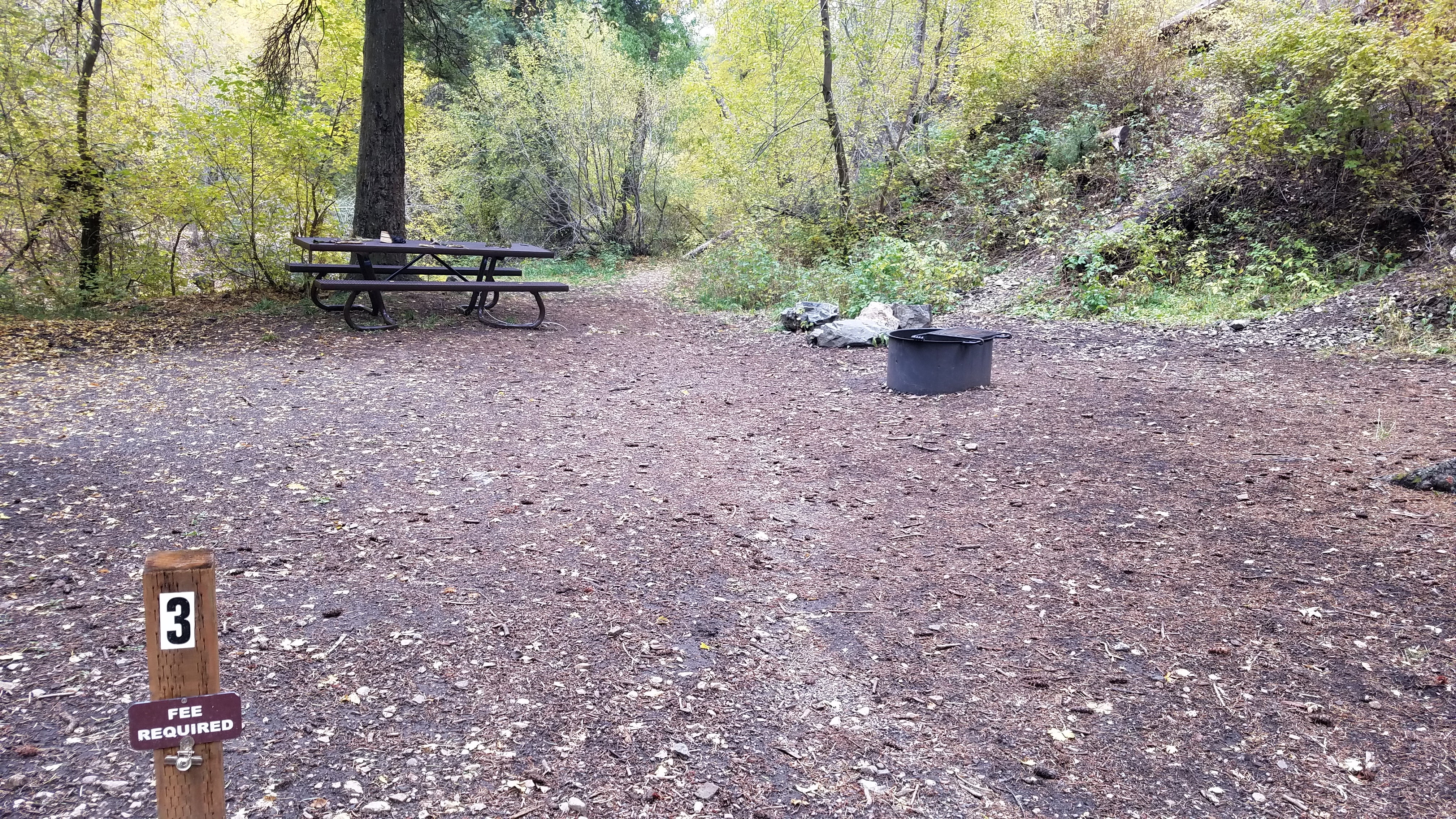 Camper submitted image from Lower Narrows Campground - 1