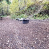 Review photo of Lower Narrows Campground by Alan B., October 1, 2019