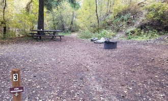 Camping near Settlement Canyon/Legion Park Campground: Lower Narrows Campground, Grantsville, Utah