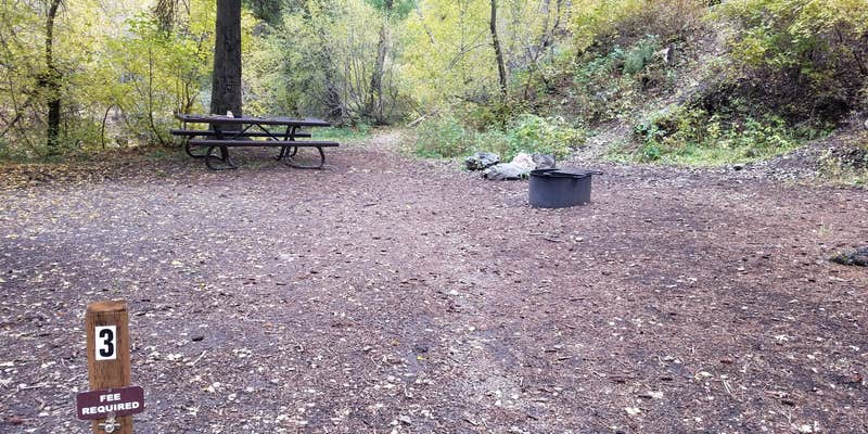 Camper submitted image from Lower Narrows Campground