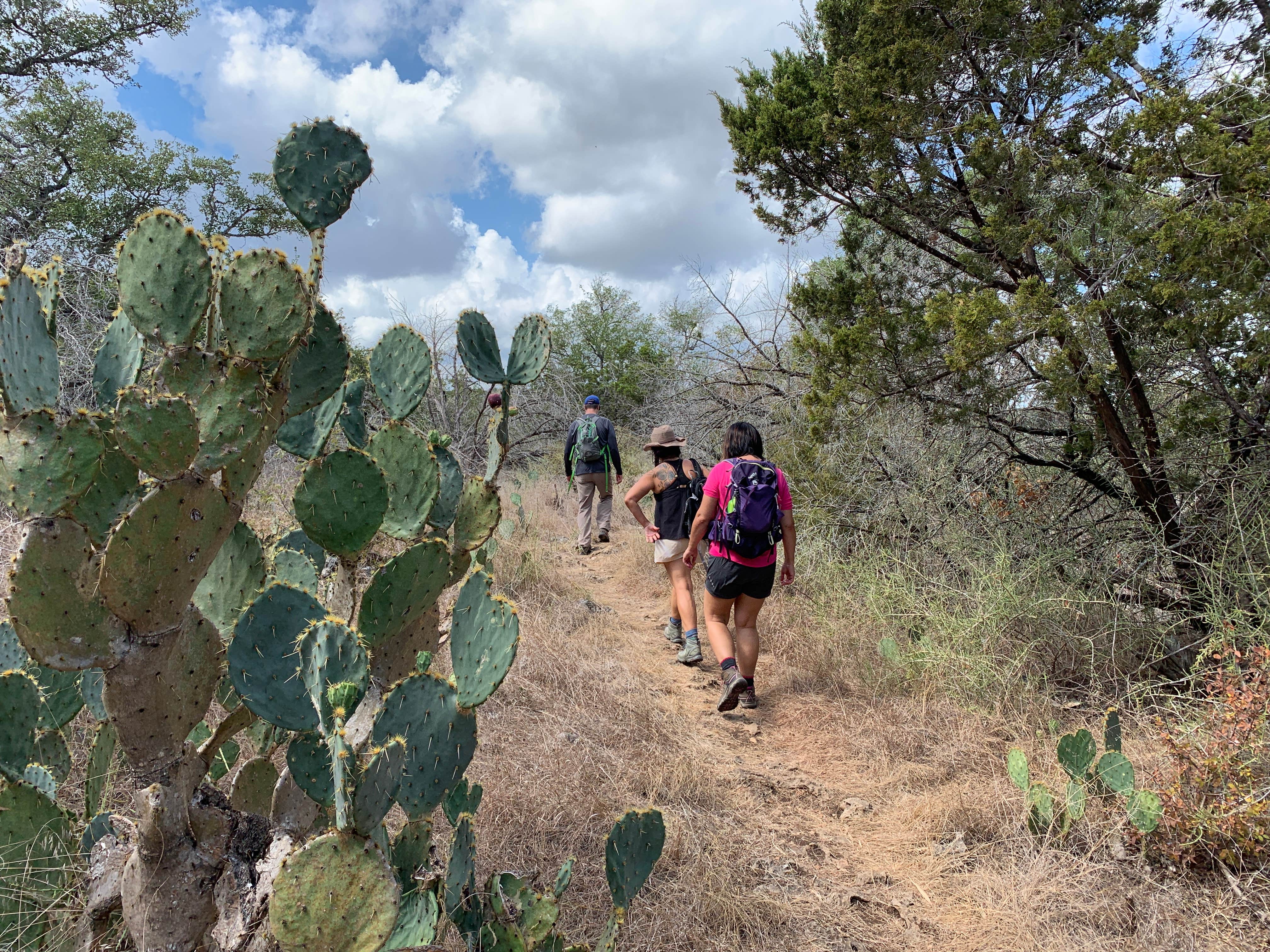 Camper-submitted photo at Sawyer Park Primitive Campsites near Georgetown, TX