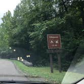 Review photo of Elkmont Campground — Great Smoky Mountains National Park by Alicia F., October 1, 2019