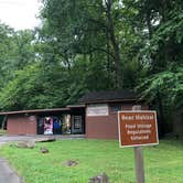 Review photo of Elkmont Campground — Great Smoky Mountains National Park by Alicia F., October 1, 2019