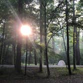Review photo of Elkmont Campground — Great Smoky Mountains National Park by Alicia F., October 1, 2019