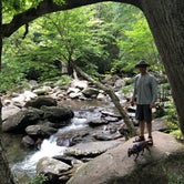 Review photo of Elkmont Campground — Great Smoky Mountains National Park by Alicia F., October 1, 2019