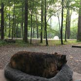 Review photo of Elkmont Campground — Great Smoky Mountains National Park by Alicia F., October 1, 2019