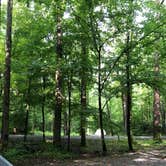Review photo of Elkmont Campground — Great Smoky Mountains National Park by Alicia F., October 1, 2019