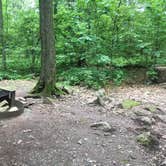 Review photo of French Creek State Park Campground by Christina S., August 13, 2017
