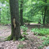 Review photo of French Creek State Park Campground by Christina S., August 13, 2017