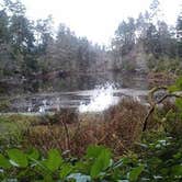 Review photo of Jessie M. Honeyman Memorial State Park Campground by Kevin R., September 30, 2019